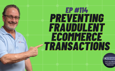 Preventing Fraudulent Ecommerce Transactions