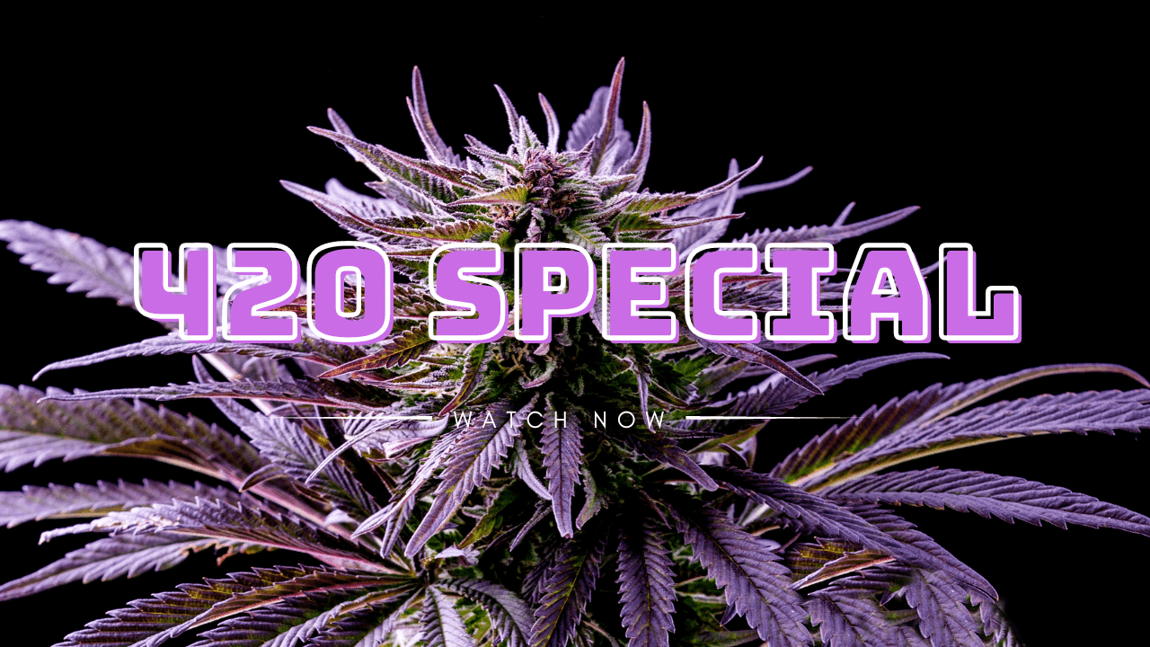 Why is cannabis payment processing such a hot topic?