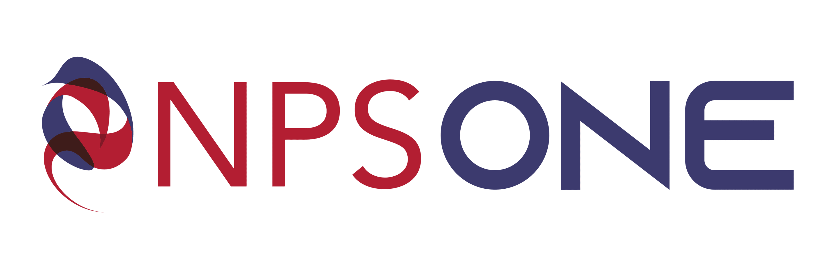 NPSONE-01 (2)